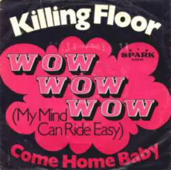 Killing Floor : Wow Wow Wow (My Mind Can Ride Easy) - Come Home Baby